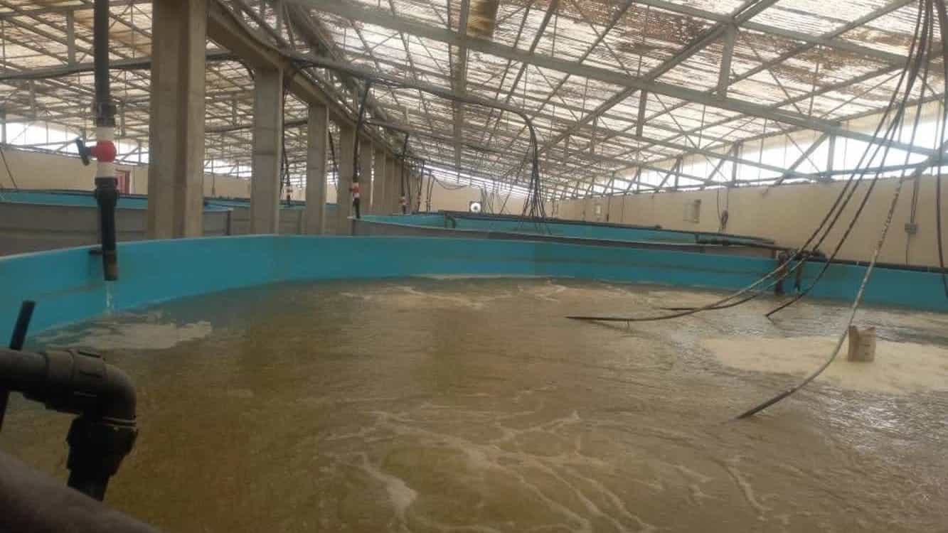 قیمت و خرید استخر فایبرگلاس پرورش قزل آلا با محاسبه ظرفیت و ابعاد استاندارد